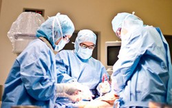 Suýt mất chân từ một vết côn trùng cắn