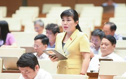 Đại biểu Quốc hội đề xuất bổ sung việc thực hiện giám sát tự động liên tục chất lượng nguồn nước khai thác