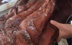 Nhặt được "khúc gỗ" nhăn nheo màu đỏ, người đàn ông vớ bẫm khi đem đi thẩm định