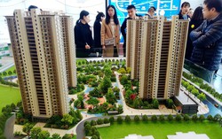 Kháng cự mới của phụ nữ độc thân Trung Quốc trước định kiến giới