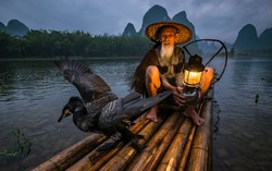 Tại sao nhiều nơi lại cấm đánh bắt cá bằng chim cốc?