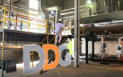 Điều gì khiến giá cổ phiếu DDG lao dốc "từ bát phở xuống bằng cốc trà"?