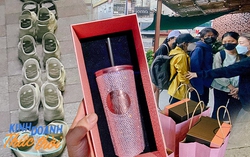 “Xếp dép” xuyên đêm chờ mua ly phiên bản giới hạn của BLACKPINK, ra khỏi cửa 5 phút đã thu lời