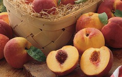 9 thực phẩm phụ nữ ngoài 30 nên thường xuyên ăn để bổ sung estrogen