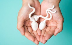 “Hàn thử biểu” phản ánh sức khỏe của tinh trùng