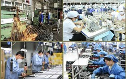9 điều kiện bổ nhiệm người quản lý doanh nghiệp nhà nước, kiểm soát viên