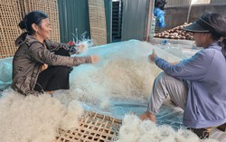 Sổ tay hướng dẫn xây dựng và tổ chức thực hiện dự án đa dạng hóa sinh kế, phát triển mô hình giảm nghèo