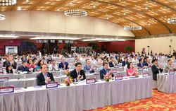 "Liều thuốc" cho kinh tế Việt Nam: Phát huy tối đa nội lực, khai thác hiệu quả ngoại lực