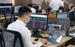 2 cổ phiếu đắt nhất thị trường chứng khoán đồng loạt "tụt sàn"