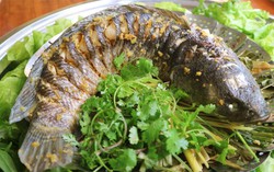 Loại cá được ví như "nhân sâm" của người nghèo, giúp bổ gan, thận
