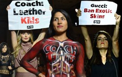 Chưa tới 10 giây, người gây rối show Gucci tại Milan đã bị tống cổ!