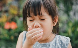 Bị ho có cần ăn kiêng ăn tôm, cua, cá hay không?