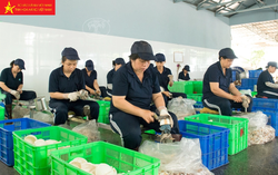 Mở đường cho hàng Việt Nam sang các thị trường tiềm năng và mới mẻ