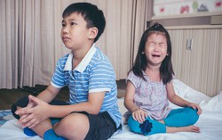 Tại sao có chuyện anh chị em trong nhà ghét nhau "như chó với mèo"?