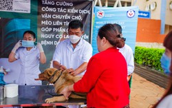 FOUR PAWS hỗ trợ hoạt động tiêm phòng bệnh dại miễn phí