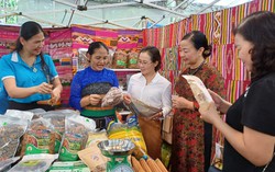 Thanh Hoá: Nhiều hoạt động sôi nổi tại Ngày Phụ nữ sáng tạo - khởi nghiệp năm 2023