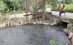 Đứng đầu Thủ đô về số ca sốt xuất huyết, xã Vĩnh Quỳnh "kích hoạt" 157 tổ xung kích diệt bọ gậy