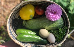 Khu vườn đủ loại cây trái xanh tươi của con gái trồng tặng cha mẹ