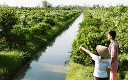 Cơ hội cho phụ nữ nông thôn miền Tây phát triển kinh tế xanh