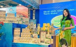 Vĩnh Phúc vinh dự nhận giải Đặc biệt vòng chung kết cấp vùng miền Bắc cuộc thi Phụ nữ khởi nghiệp 2023