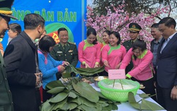 Lào Cai: "Xuân biên phòng ấm lòng dân bản" trao 450 suất quà cho hộ nghèo, gia đình chính sách 