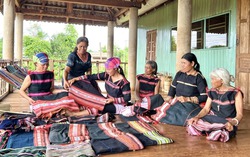 Gia Lai: Tập huấn kỹ năng cho phụ nữ kinh doanh tại gia đình