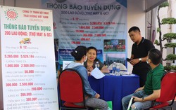 Lực lượng lao động Việt Nam từ 15 tuổi trở lên đạt 52,4 triệu người