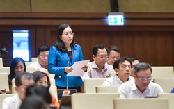 Dự thảo Luật Đất đai (sửa đổi): Hỗ trợ người có đất thu hồi, phải tạo ra sinh kế chứ không chỉ hỗ trợ tiền