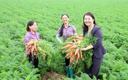 8 cơ chế đặc thù tháo gỡ khó khăn, vướng mắc trong thực hiện các Chương trình mục tiêu quốc gia