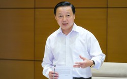 Thành lập Hội đồng thẩm định Quy hoạch mạng lưới cơ sở giáo dục đại học và sư phạm