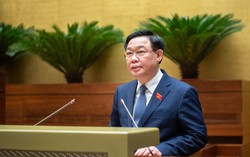 Chủ tịch Quốc hội: Chuẩn bị ngay điều kiện, nhanh chóng đưa Luật Đất đai (sửa đổi) vào cuộc sống