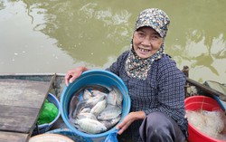 Những phận đời trên sông Hồng ngày cận Tết