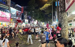 TPHCM: Nhánh cây rơi xuống đường, 1 người nguy kịch