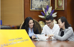 Năm 2024 sẽ thanh tra 6 doanh nghiệp bảo hiểm