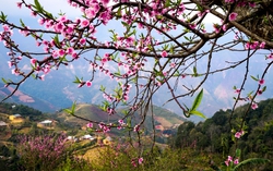 Âm vang tháng Chạp