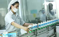 Sữa Mộc Châu kết quả kinh doanh ra sao sau khi về tay Vinamilk?