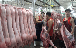 An toàn thực phẩm phải được bảo đảm từ nguồn 