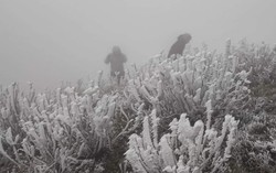 Chuyên gia khuyến cáo những đối tượng không nên đi "săn băng tuyết"