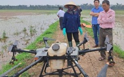 Người nông dân giỏi làm kinh tế, tràn đầy nhiệt huyết với hoạt động Hội