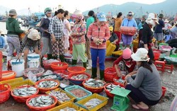 Chợ ven sông