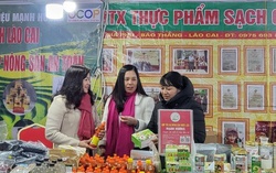 Tết sum vầy - Xuân yêu thương với nữ công nhân Bắc Giang