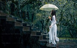 Dịu dàng mưa xuân