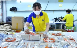 Đơn hàng giảm, nhiều doanh nghiệp vẫn chăm lo Tết cho công nhân