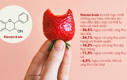 Phát hiện phản ứng kỳ lạ giữa chuối và dâu tây: Tiết lộ hai nhóm hoa quả kỵ nhau mà bạn không nên ăn cùng lúc