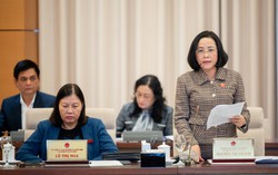 Cần quy định tỷ lệ phân bổ đầu tư cơ sở hạ tầng với phát triển sản xuất, an sinh xã hội trong Chương trình mục tiêu quốc gia