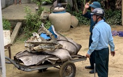 Nguyên nhân ban đầu vụ máy bay quân sự rơi tại Quảng Nam