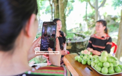 Quảng Ngãi: Phụ nữ Ca Dong tự tin livestream, tìm kiếm  thị trường cho sản phẩm ổi rubi ruột đỏ