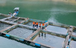 Agribank tăng quy mô tín dụng ưu đãi lĩnh vực lâm, thủy sản lên 13.000 tỷ đồng