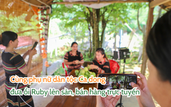 Trải nghiệm: Phụ nữ Ca dong livestream đưa ổi Ruby lên sàn thương mại điện tử