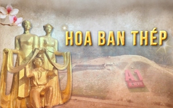 Phim tài liệu: Hoa ban thép - Phụ nữ và Chiến thắng Điện Biên Phủ (tập 1)